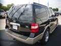 Dark Blue Pearl Metallic - Expedition Eddie Bauer Photo No. 7