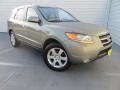 2008 Natural Khaki Green Hyundai Santa Fe Limited  photo #2