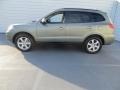 2008 Natural Khaki Green Hyundai Santa Fe Limited  photo #6