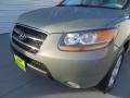 2008 Natural Khaki Green Hyundai Santa Fe Limited  photo #10