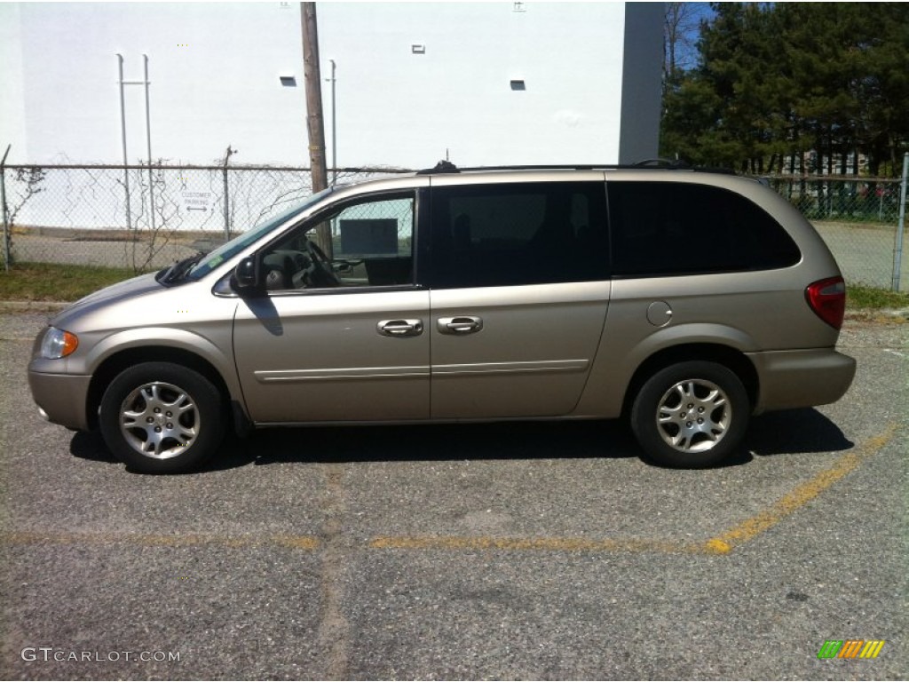 Light Almond Pearl Metallic 2004 Dodge Grand Caravan SXT Exterior Photo #80547396
