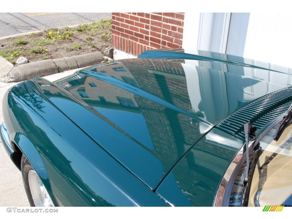 1995 XJ XJS Convertible - British Racing Green / Ivory photo #10