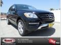 Black - ML 350 4Matic Photo No. 1