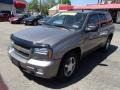 2009 Graystone Metallic Chevrolet TrailBlazer LT 4x4  photo #4