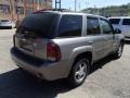 Graystone Metallic - TrailBlazer LT 4x4 Photo No. 8
