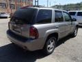 2009 Graystone Metallic Chevrolet TrailBlazer LT 4x4  photo #8