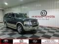 Stone Green Metallic 2009 Ford Expedition Eddie Bauer