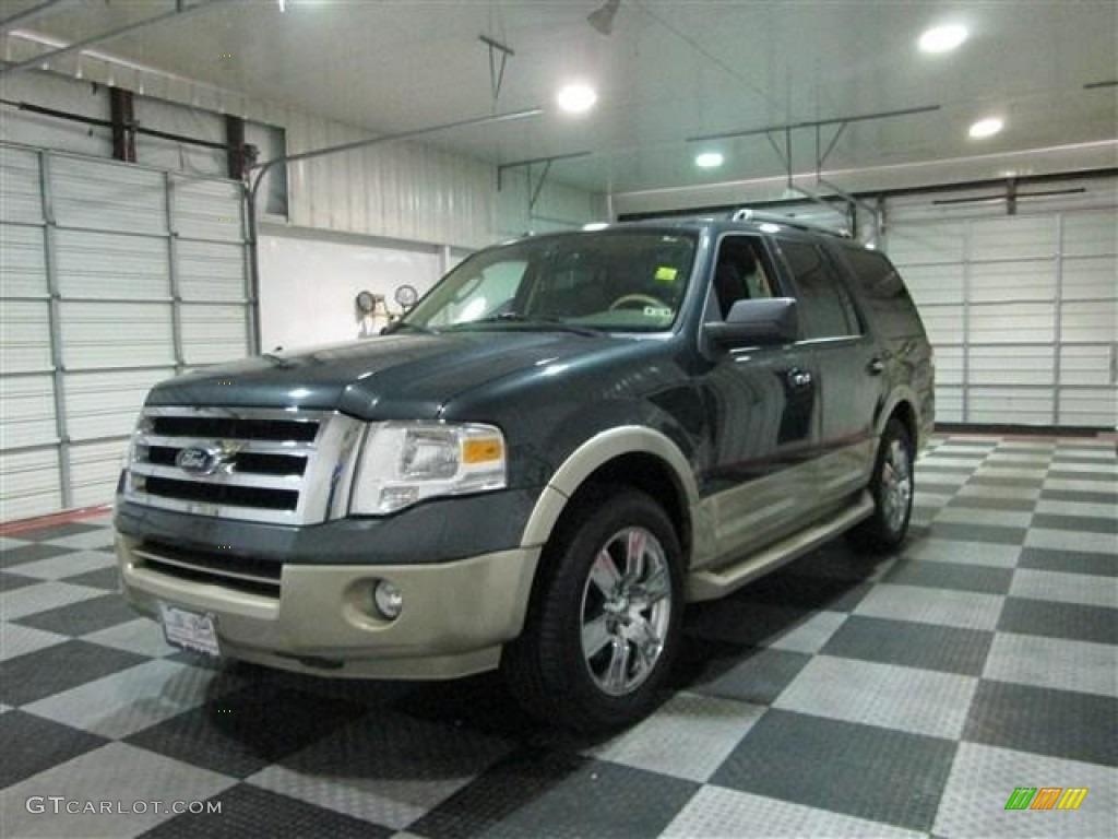 2009 Expedition Eddie Bauer - Stone Green Metallic / Greystone Leather/Camel photo #3