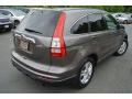 2010 Urban Titanium Metallic Honda CR-V EX AWD  photo #4