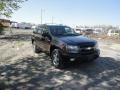 Dark Cherry Metallic - TrailBlazer LT 4x4 Photo No. 7