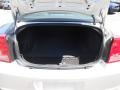 Bright Silver Metallic - Charger SXT Photo No. 16