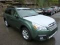 Cypress Green Pearl 2013 Subaru Outback 2.5i Limited Exterior