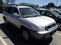 2004 Pewter Hyundai Santa Fe GLS 4WD  photo #1