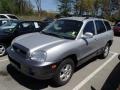 2004 Pewter Hyundai Santa Fe GLS 4WD  photo #3