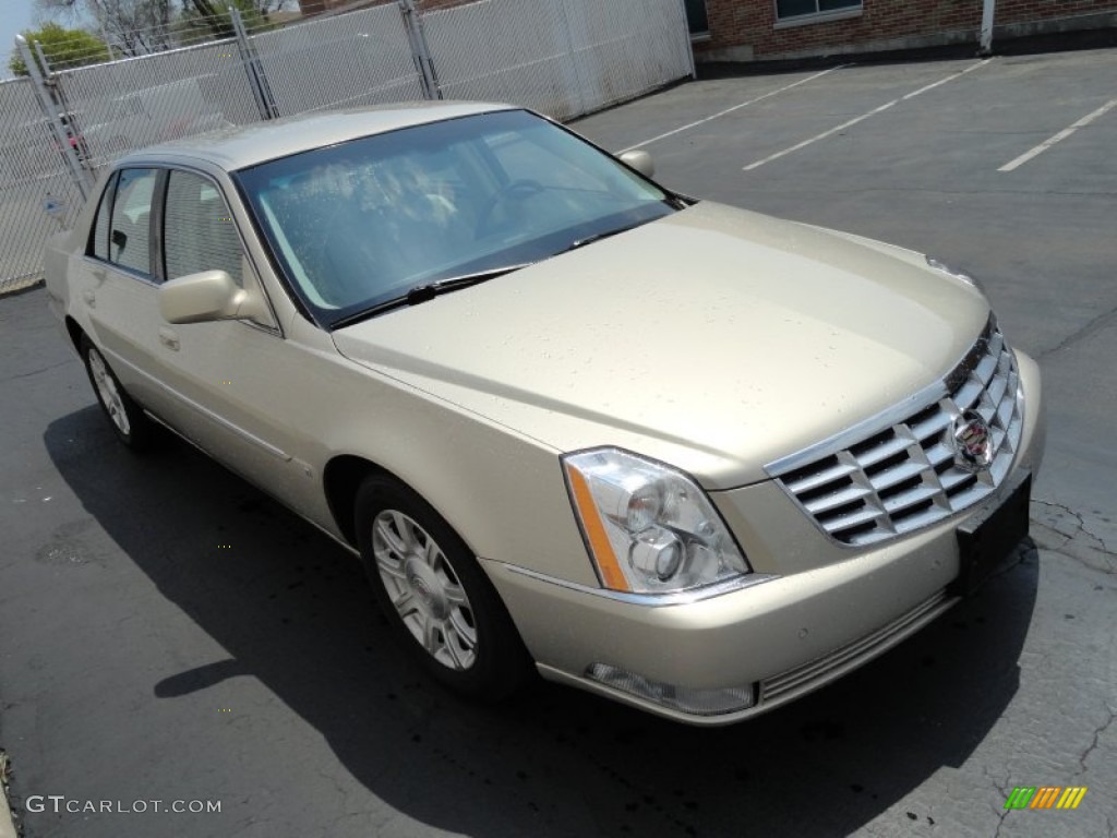 2009 DTS  - Gold Mist / Shale/Cocoa photo #3