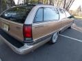 Light Driftwood Metallic - Roadmaster Estate Wagon Photo No. 5