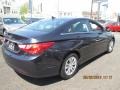 Pacific Blue Pearl - Sonata GLS Photo No. 6