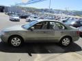 Natural Khaki Green - Sonata GLS Photo No. 6