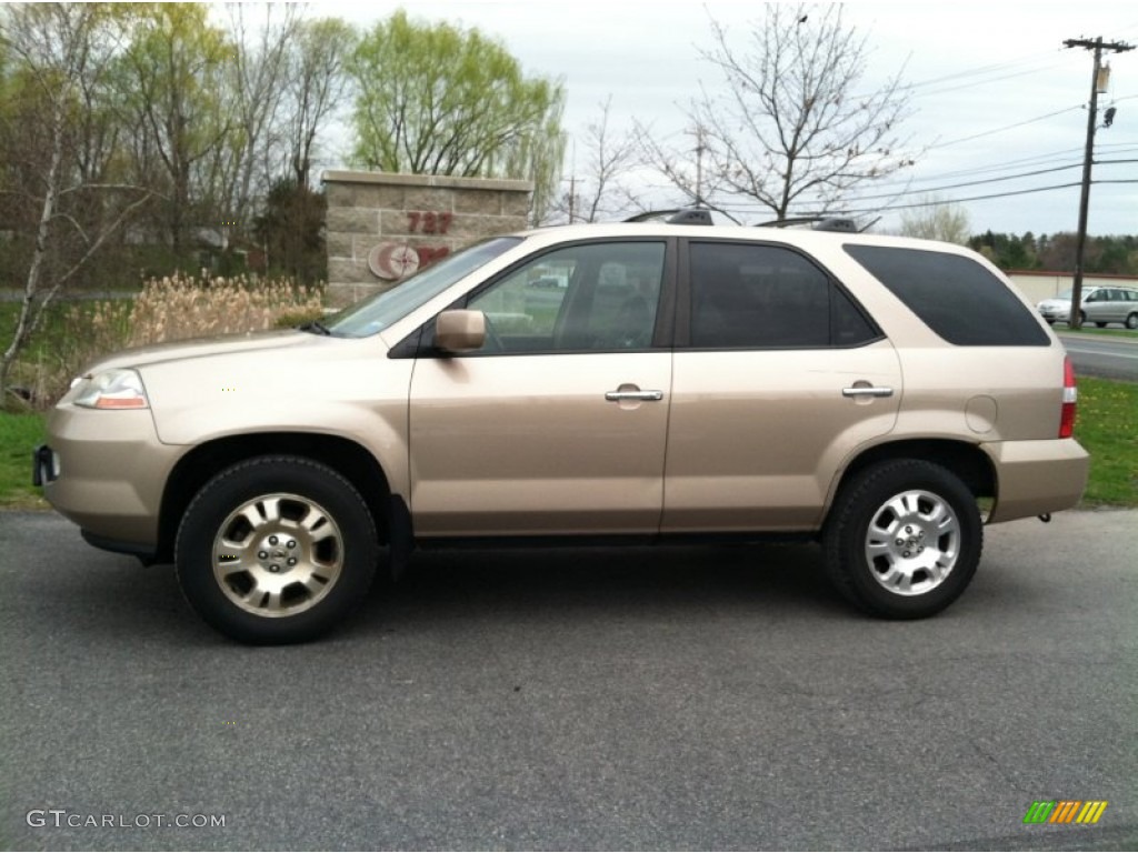 2002 MDX  - Mesa Beige Metallic / Saddle photo #1