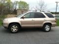 Mesa Beige Metallic 2002 Acura MDX 