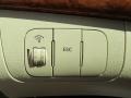 Natural Khaki Green - Sonata GLS Photo No. 17