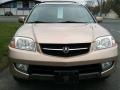 Mesa Beige Metallic - MDX  Photo No. 3