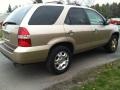Mesa Beige Metallic - MDX  Photo No. 5