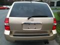 Mesa Beige Metallic - MDX  Photo No. 9