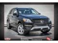 Black - ML 350 4Matic Photo No. 1