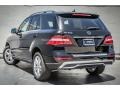 Black - ML 350 4Matic Photo No. 2