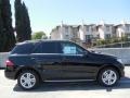 Black - ML 350 4Matic Photo No. 3