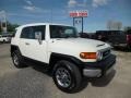 Iceberg White - FJ Cruiser 4WD Photo No. 1