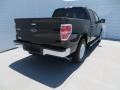 2013 Kodiak Brown Metallic Ford F150 XLT SuperCrew  photo #4