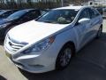 Shimmering White - Sonata GLS Photo No. 7