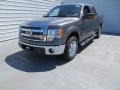 Sterling Gray Metallic - F150 XLT SuperCrew Photo No. 9