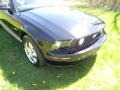 2005 Black Ford Mustang GT Deluxe Coupe  photo #26