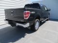 2013 Tuxedo Black Metallic Ford F150 XLT SuperCrew 4x4  photo #4