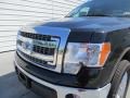 2013 Tuxedo Black Metallic Ford F150 XLT SuperCrew 4x4  photo #14