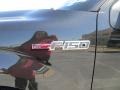 2013 Tuxedo Black Metallic Ford F150 XLT SuperCrew 4x4  photo #16