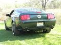 2009 Dark Highland Green Metallic Ford Mustang Bullitt Coupe  photo #6