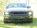 2009 Dark Highland Green Metallic Ford Mustang Bullitt Coupe  photo #13