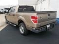 2013 Pale Adobe Metallic Ford F150 XLT SuperCrew  photo #4