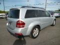 Iridium Silver Metallic - GL 450 Photo No. 6