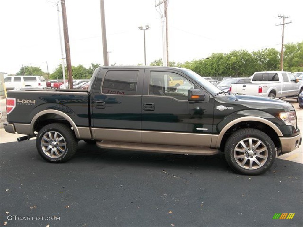 2013 F150 King Ranch SuperCrew 4x4 - Green Gem Metallic / King Ranch Chaparral Leather photo #9