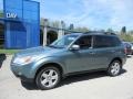 2010 Sage Green Metallic Subaru Forester 2.5 X Limited  photo #1