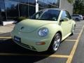 Mellow Yellow 2005 Volkswagen New Beetle GLS 1.8T Convertible