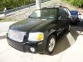 Onyx Black - Envoy Denali 4x4 Photo No. 5