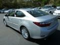 Silver Lining Metallic - ES 350 Photo No. 2