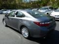 Nebula Gray Pearl - ES 350 Photo No. 2