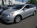 Radiant Silver - Sonata GLS Photo No. 3